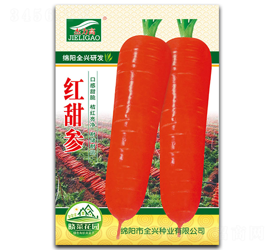 �t����-���}���N��-ȫ�d�N�I(y��)