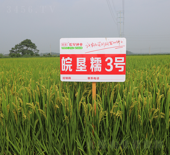 �Ŵ3̖-ˮ���N��-��N�I(y��)