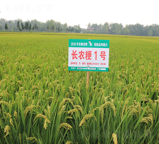 �L�r(n��ng)��1̖-ˮ���N��-��N�I(y��)