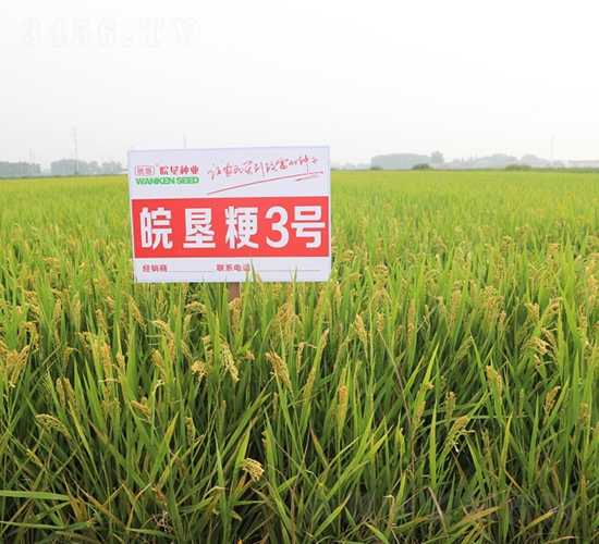 ���3̖(h��o)-ˮ���N��-��N�I(y��)