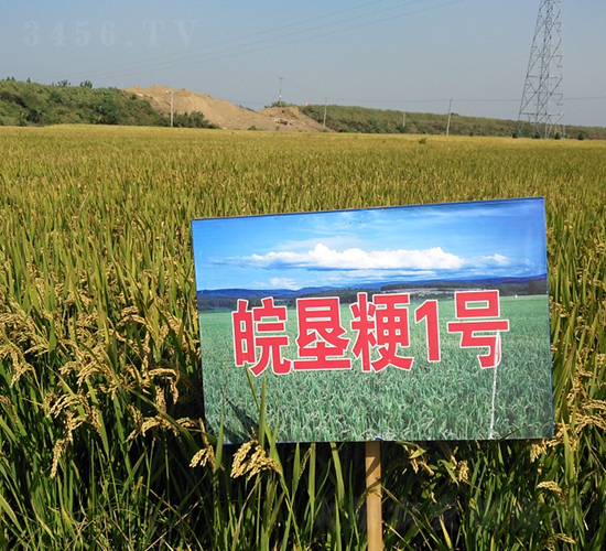 ���1̖-ˮ���N��-��N�I(y��)