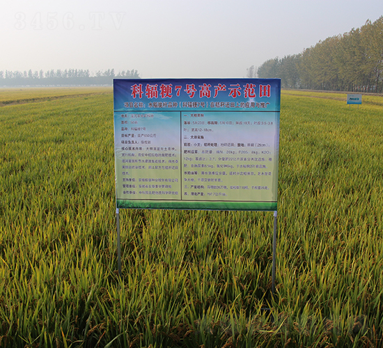 ��ݗ��7̖-ˮ���N��-��N�I(y��)