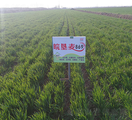 ���869-С���N��-��N�I(y��)