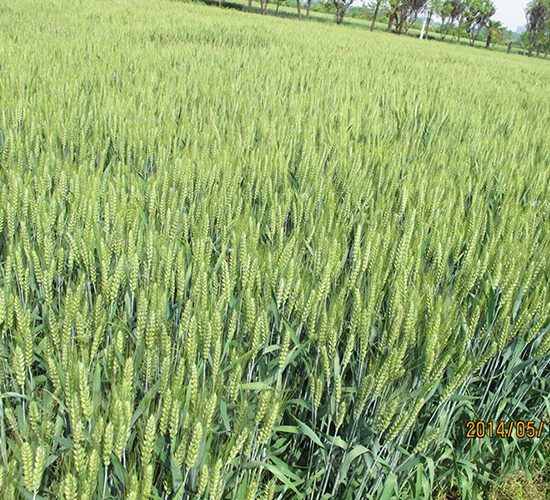 ��(j��)��22-С���N��-��N�I(y��)