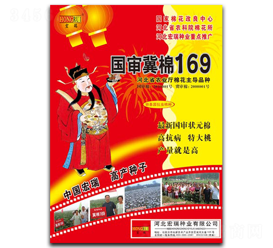 國(guó)審冀棉169-棉花種子-宏瑞種業(yè)