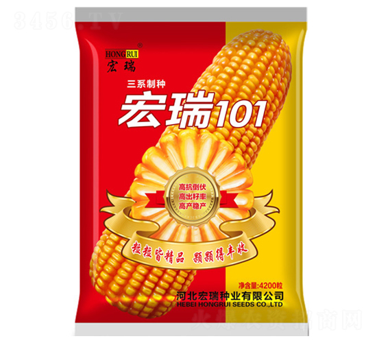 宏瑞101（紅）-玉米種子-宏瑞種業(yè)