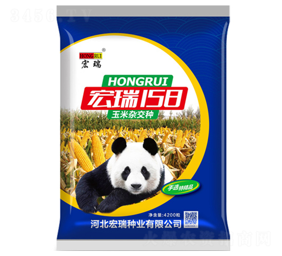 宏瑞158（藍(lán)）-玉米種子-宏瑞種業(yè)