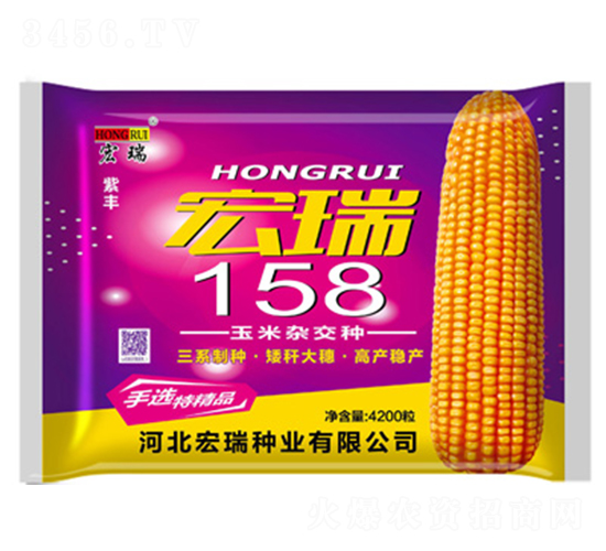 ����158������-���׷N��-����N�I(y��)