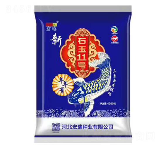 ʯ��11̖-���׷N��-����N�I(y��)