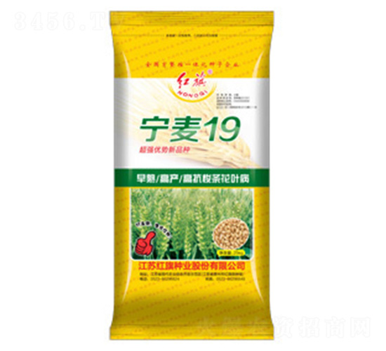 ����19-С���N��-�t��N�I(y��)