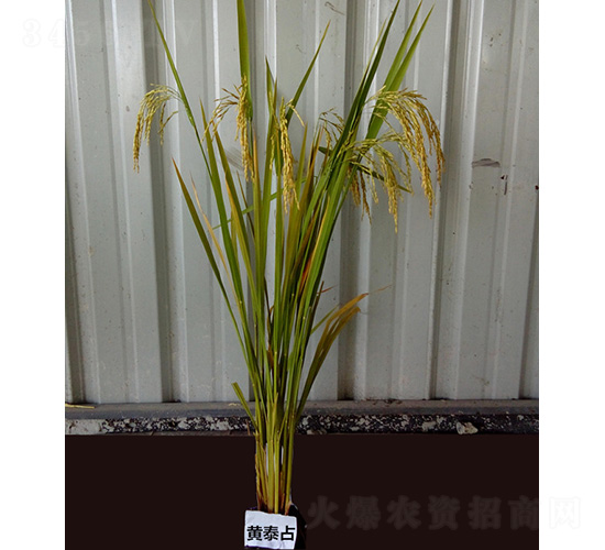 �S̩ռ-ˮ���N��-�t��N�I(y��)