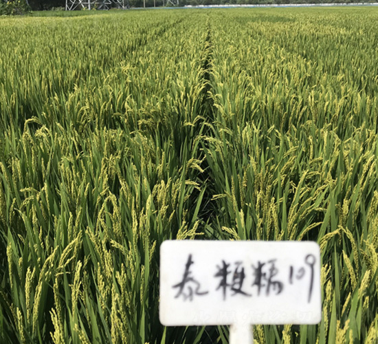 ����Ŵ109-ˮ���N��-�t��N�I(y��)