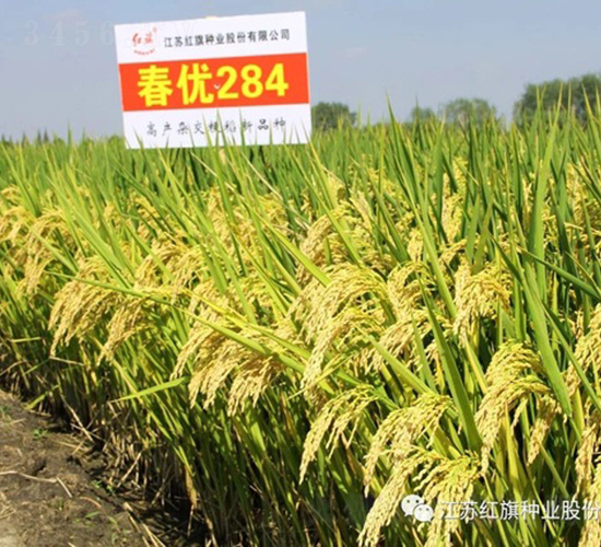 ����(y��u)284-ˮ���N��-�t��N�I(y��)