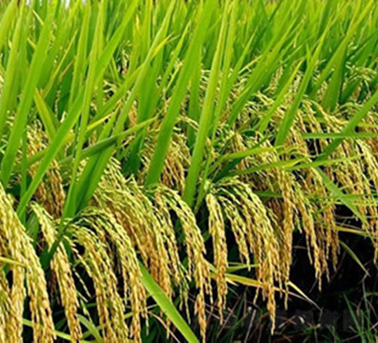 ̶ԭ��(y��u)0845-ˮ���N��-�t��N�I(y��)