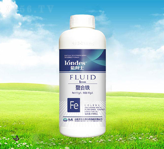 �{(l��n)��ʿ�����F-����