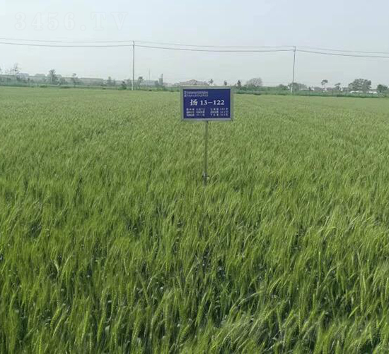 �P(y��ng)��31-С���N��-������