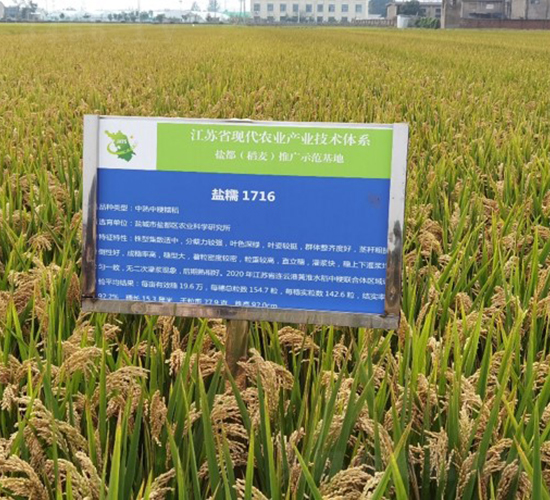 �}Ŵ20-ˮ���N��-������