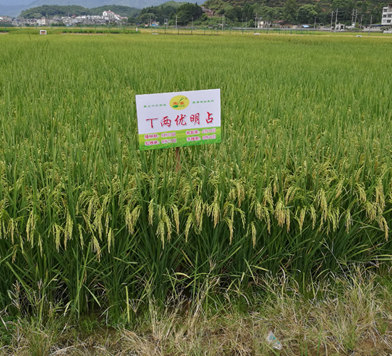 T�Ƀ�(y��u)��ռ-ˮ���N��-�����N�I(y��)