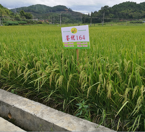 ����(y��u)164-ˮ���N��-�����N�I(y��)