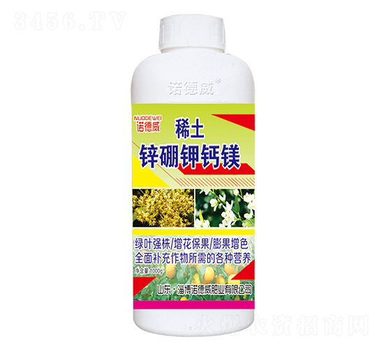 ϡ���\����}�V-�Z����