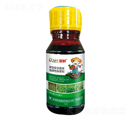 ���r��ѿ����]���݄���-������r(n��ng)