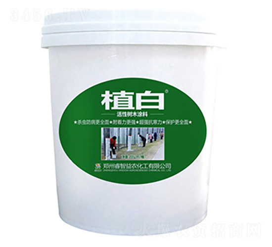 20����ֲ�׻��Ԙ�ľͿ��-������r(n��ng)