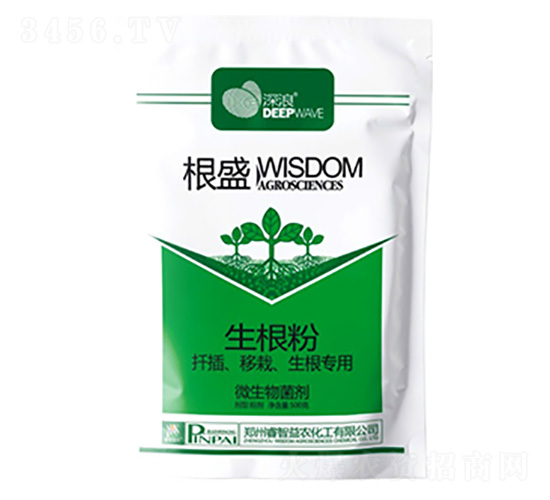 ��ʢ-����-������r