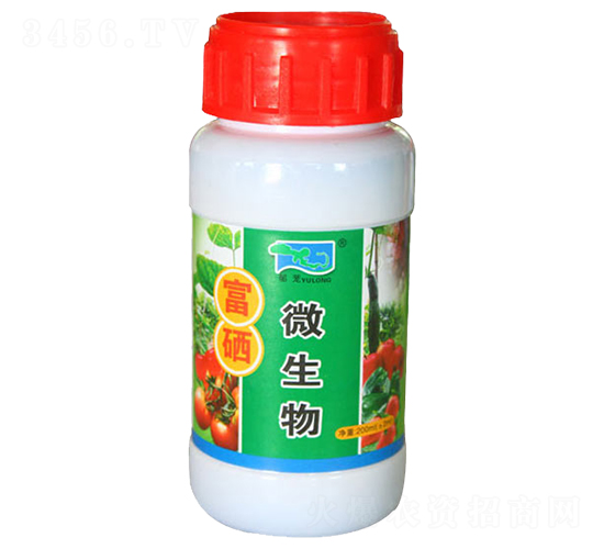 ΢���︻��-���d����