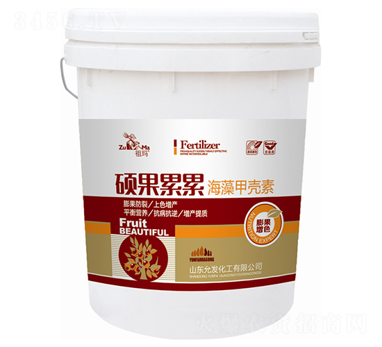 ����ך���-�T������-�欔-�ʰl(f��)����