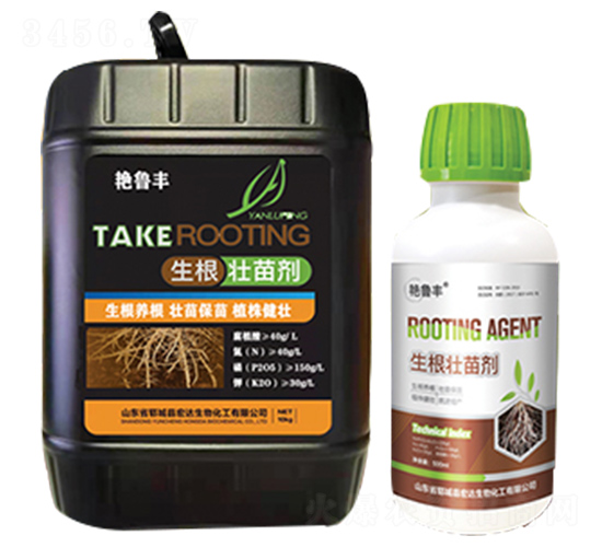 �������焩-���_����