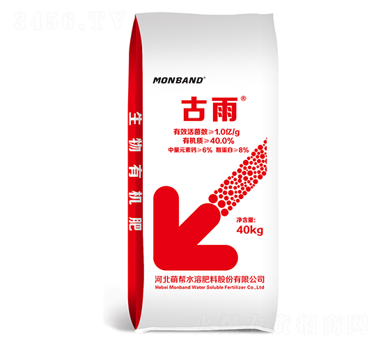 �����ЙC(j��)��-����-�Ȏ�