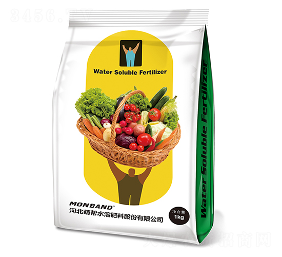 �Ȏ�����-�Ȏ�