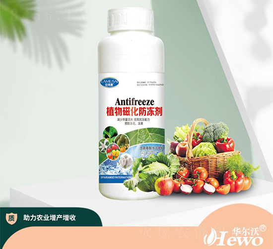 ֲ��Ż�������-�A����