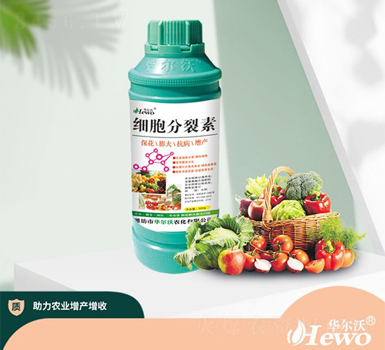 細(xì)胞分裂素-華爾沃