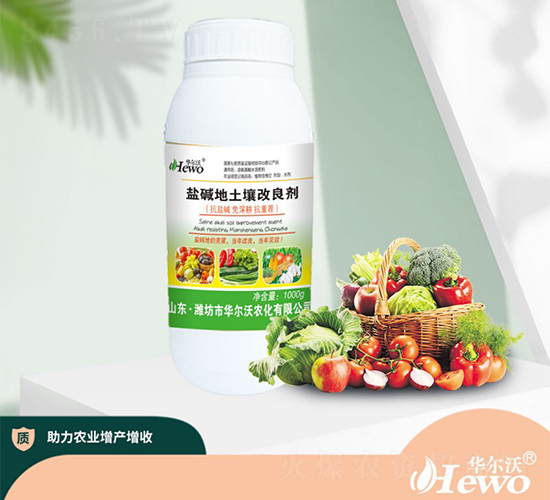 �}�A��������������ƿ��-�A����