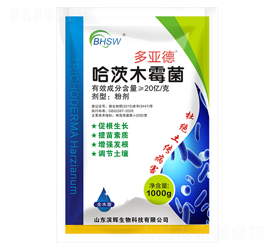 ����ľù��-������-�I�x����