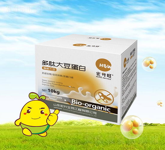 ���Ĵ󶹵���-������-��������