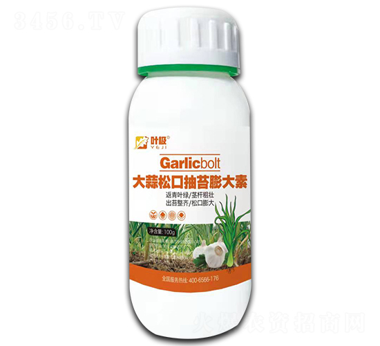 �����ɿڳ�̦�����-�~�O-�殀����