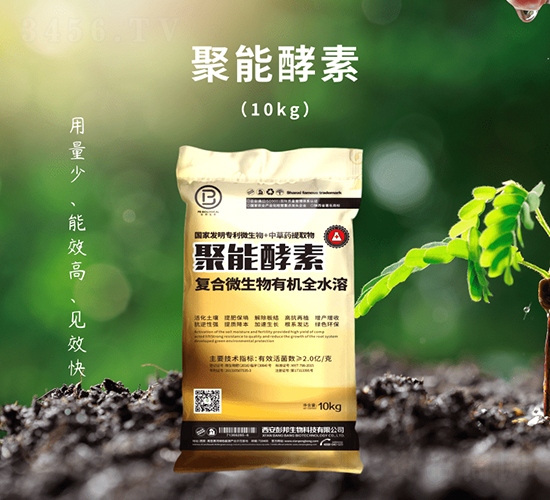 ���ܽ���-��������