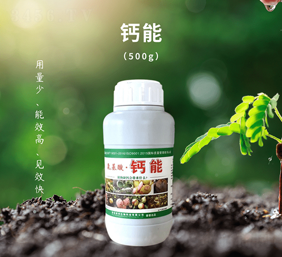 �������}��-��������