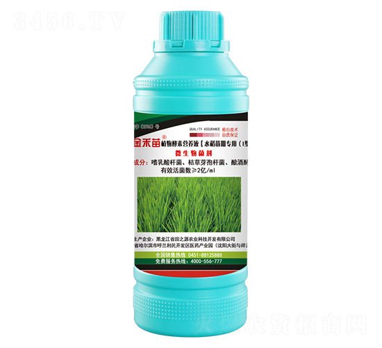 水稻苗期I型植物酵素營(yíng)養(yǎng)液-金禾苗-田之源農(nóng)業(yè)科技