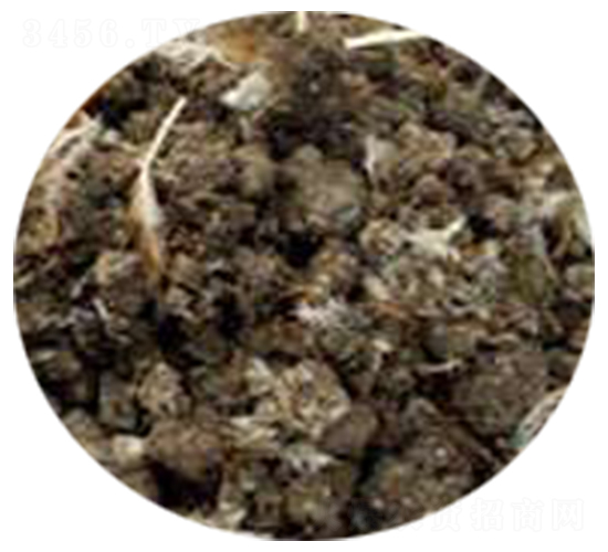 �������͸��u�S-���r(n��ng)�ʘI(y��)