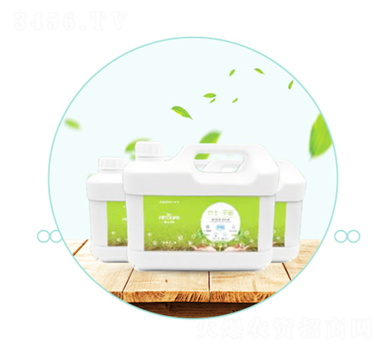 ������ƽ��-��������