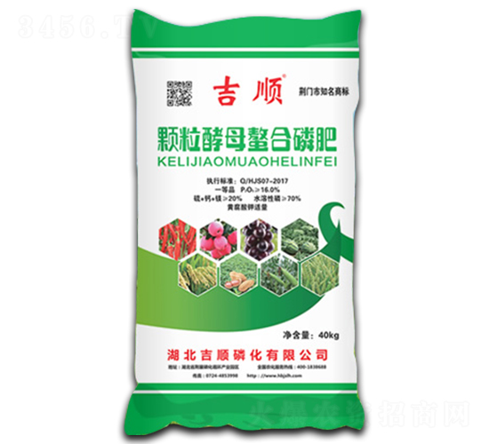 �w����ĸ�����׷�-���