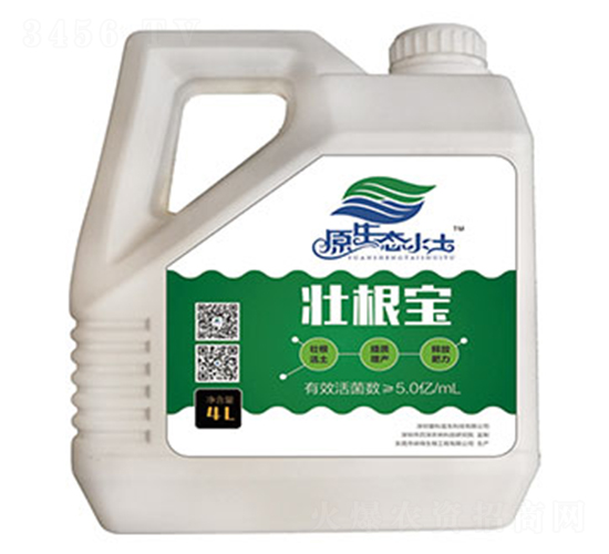 �Ѹ���-�ۿ�����