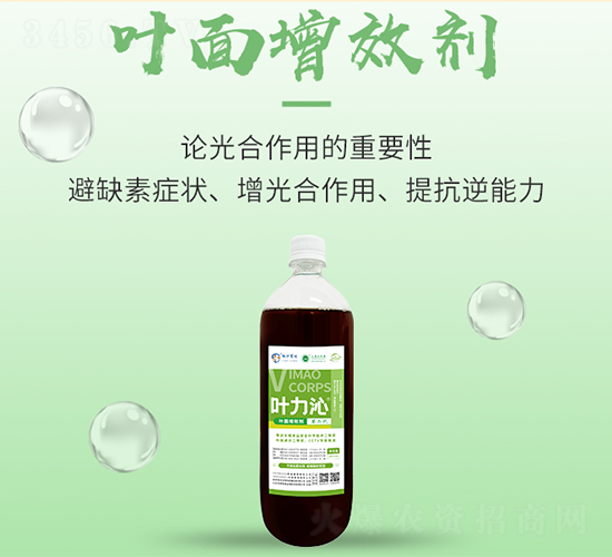 �~����Ч��-�~����-���S����