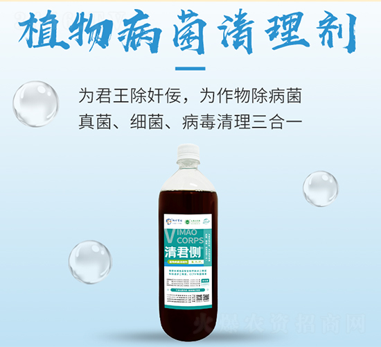 ֲ�ﲡ�����턩-�����(c��)-���S����