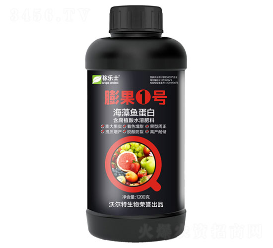 ���1̖(h��o)�������~���ף�-�ژ���-�֠���