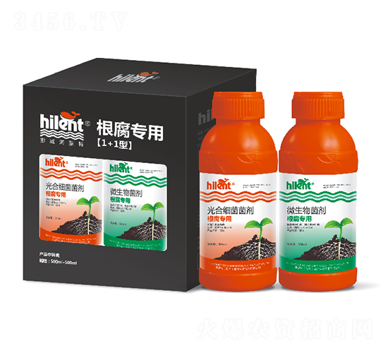 �������á�1+1�͡�-���{��