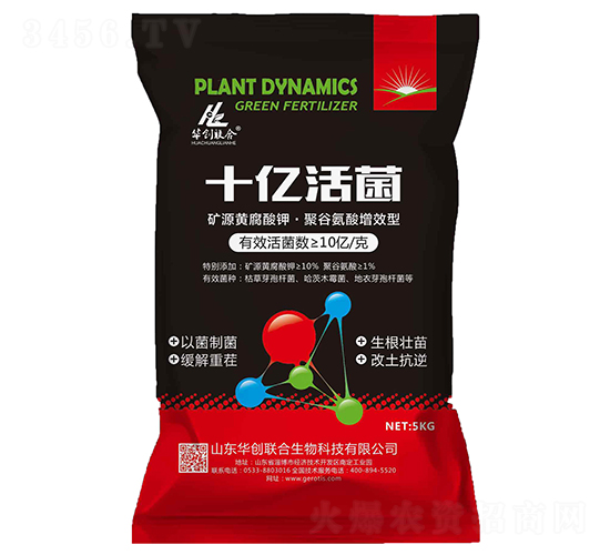 ʮ�|���-�A��(chu��ng)(li��n)��